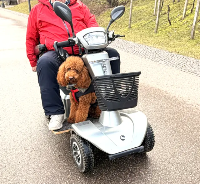 Foto: Heide Böllinger aus Bad Friedrichshall