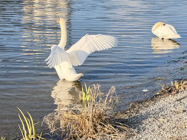 Foto: Heide Böllinger aus Bad Friedrichshall