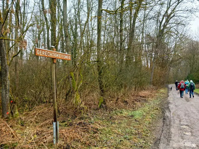 Ohjeh - ein matschiger Gerechtigkeitsweg :-)))) | Foto: sigischlottke