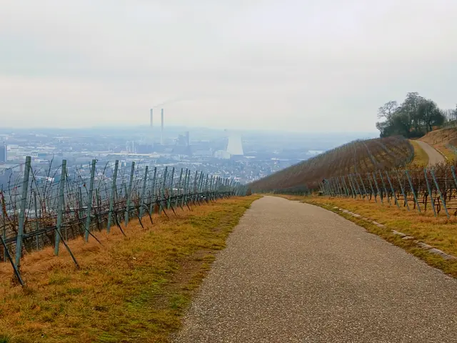 Blick auf das Heilbronner Neckartal - mit den markanten Türmen des Kohlekraftwerks.  | Foto: sigischlottke