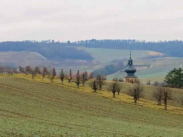 Hier spitzt der Binswanger Kirchturm aus der Landschaft hervor.  | Foto: sigischlottke