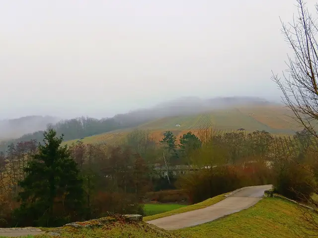 Es muss nicht immer tolles und sonniges Wetter sein - jedes Wetter hat seinen eigenen Reiz.  | Foto: sigischlottke