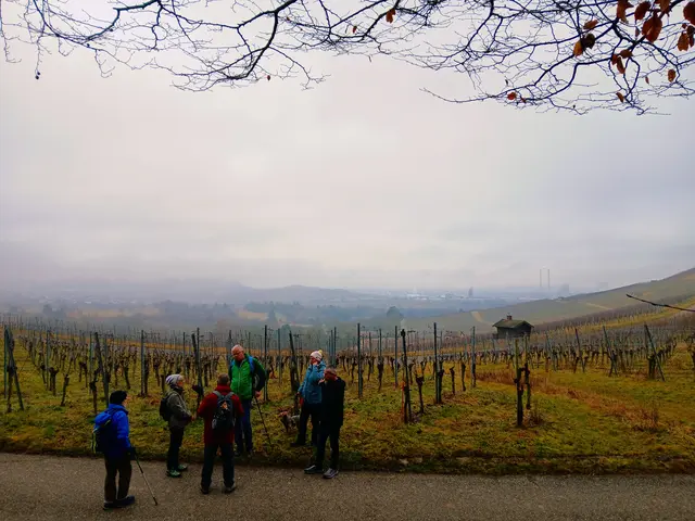 Die Ausblicke von dort können wir nur erahnen. Der Nebel hüllt die Landschaft ein.  | Foto: sigischlottke
