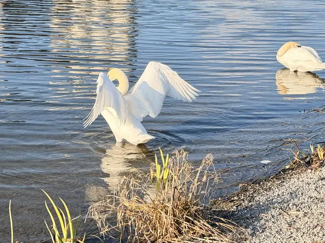 Foto: Heide Böllinger aus Bad Friedrichshall