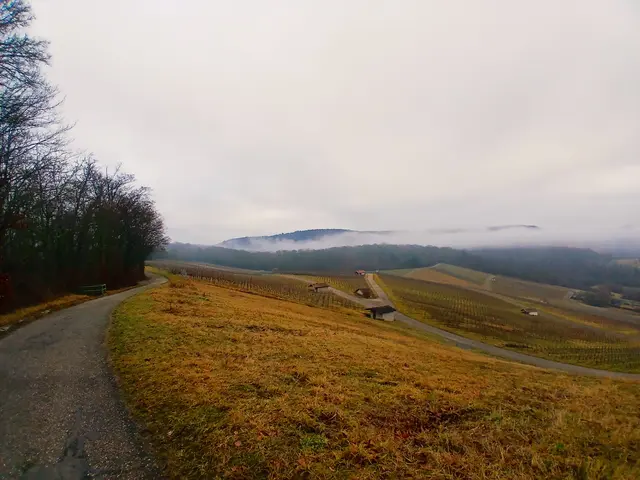 Herrlich! | Foto: sigischlottke