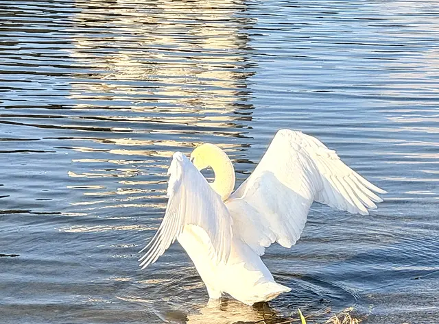 Foto: Heide Böllinger aus Bad Friedrichshall