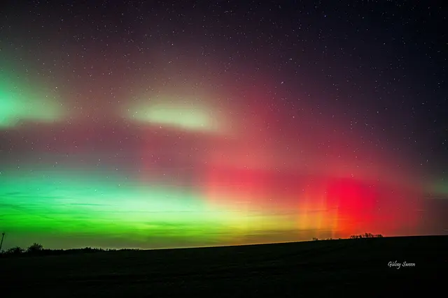 Foto: Gülay Sween