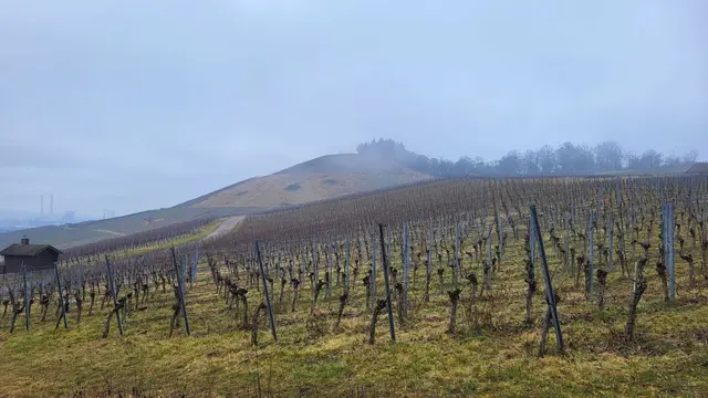 Dort drüben ist der Scheuerberg zu sehen - da müssen wir hinauf.  | Foto: Petra Schüssler 