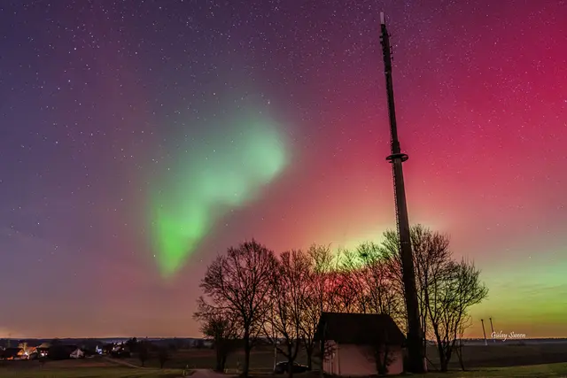 Foto: Gülay Sween