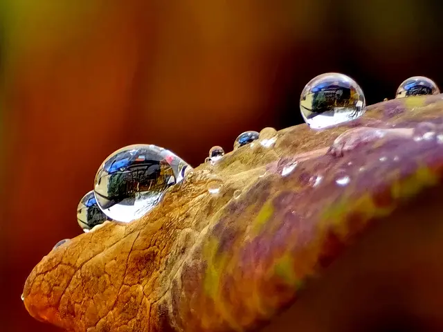 Foto: Heidrun Rosenberger