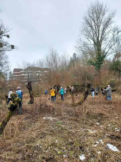 Foto: Helferinnen und Helfer im Einsatz, Foto: C. Gah, NABU Heilbronn und Umgebung