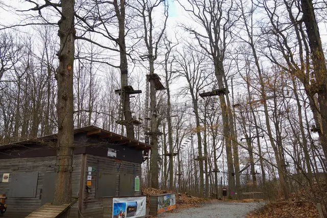 Eingang zum Klettergarten auf dem Schemelsberg. | Foto: Isolde Reitz