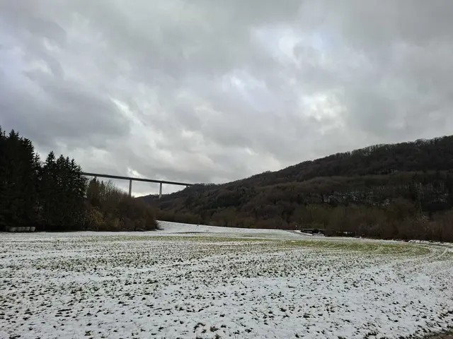 Grimmbachtal- Blick auf die Brücke | Foto: Ralf Röser