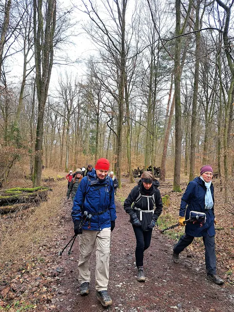 Auf der Höhe der Roten Steige angekommen, führt uns ein Waldweg zum Kayberg. | Foto: Isolde Reitz