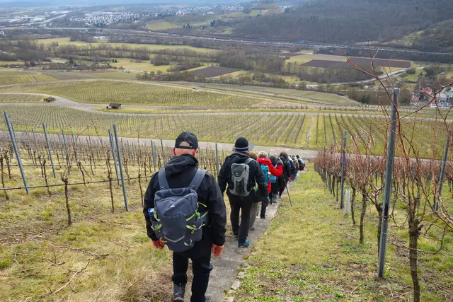 Steiler Abstieg nach Erlenbach über Hunderte von Wasserstaffeln! | Foto: Isolde Reitz