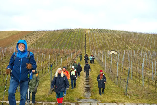 Blick von unten nach oben. | Foto: Isolde Reitz