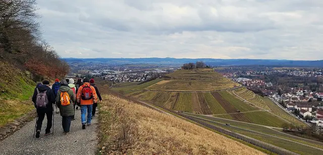 Entlang des Schemelsberges mit gigantischem Blick zur Burgruine Weibertreu und zu den Löwensteiner Bergen. | Foto: Isolde Reitz