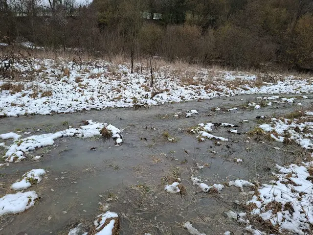 Grimmbach läuft über | Foto: Ralf Röser