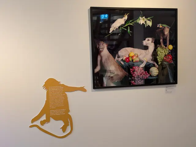 Auf dem Foto: 
Nadin Maria Rüfenacht, Helden 4, aus der Serie: Nature Morte I, 2005
Lambda Druck , Sammlung Würth Inv. 10860 ©Nadin Maria Rüfenacht, Courtesy Künstlerin und Galerie KLEINDIENST, Leipzig

Affe mit Infotext, Würth 
 | Foto: Eigene Aufnahme 