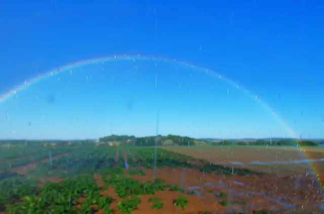 Unter dem Regenbogen | Foto: Konrad Schomerus