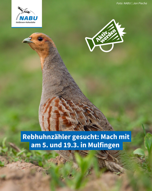 Foto: Foto: Jan Piecha Grafik: NABU