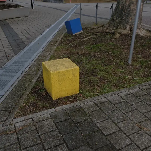Foto: Eduard Warenik
