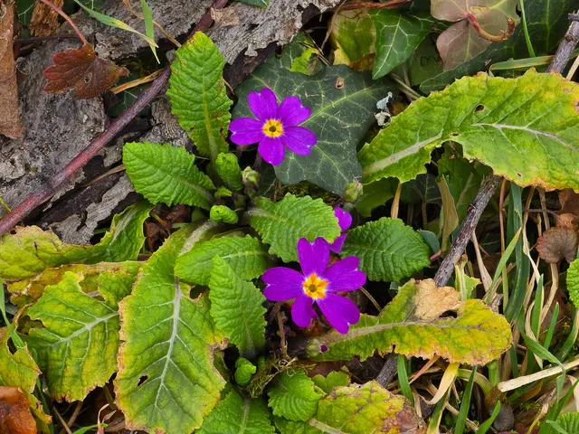 Foto: Heidrun Rosenberger