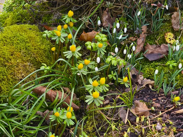 Foto: Heidrun Rosenberger