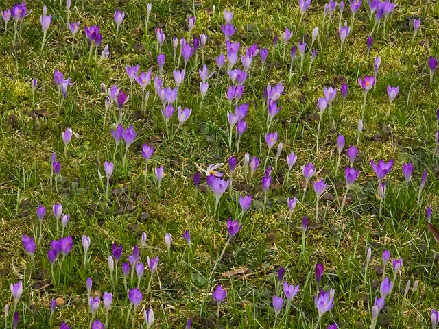 Foto: Heidrun Rosenberger
