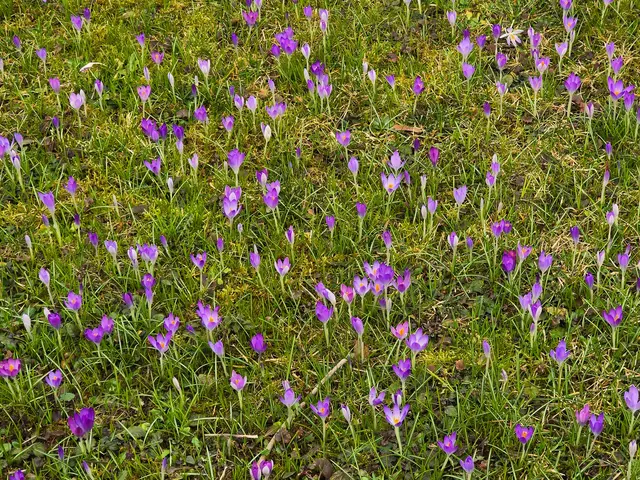 Foto: Heidrun Rosenberger