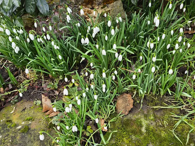 Foto: Heidrun Rosenberger