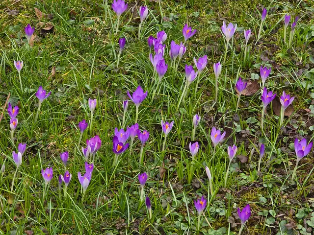 Foto: Heidrun Rosenberger