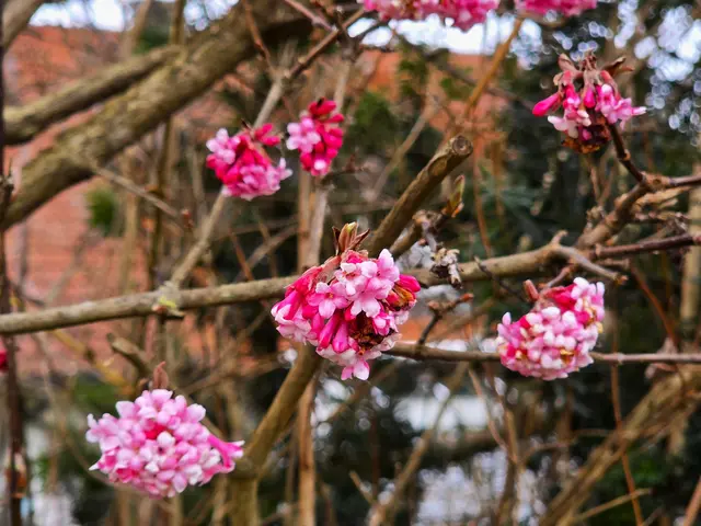 Foto: Heidrun Rosenberger