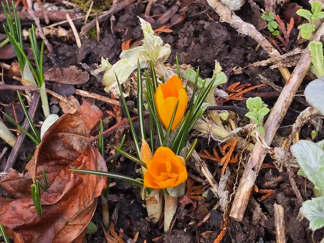 Foto: Heidrun Rosenberger