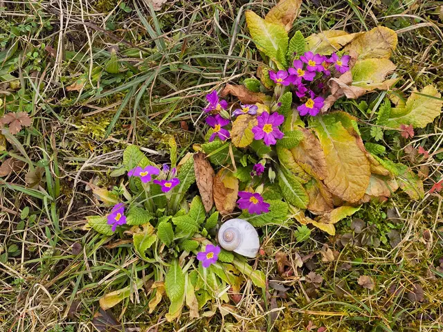 Foto: Heidrun Rosenberger