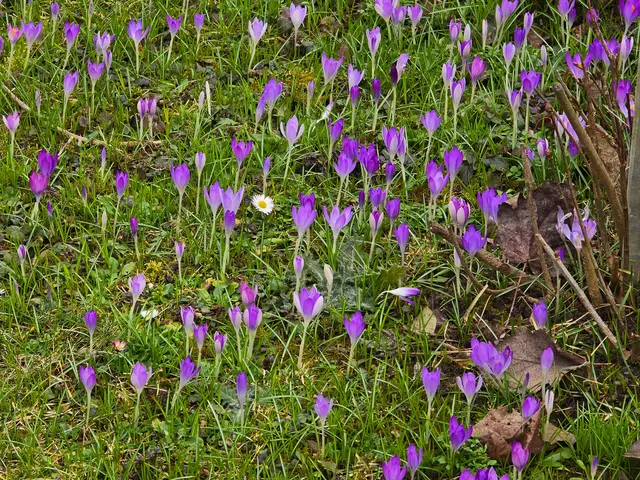 Foto: Heidrun Rosenberger
