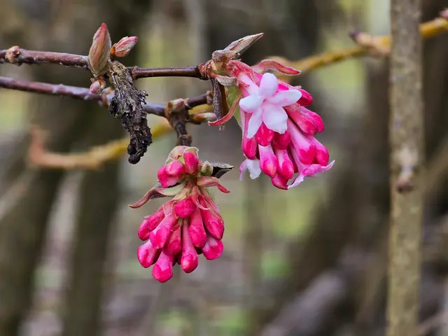 Foto: Heidrun Rosenberger