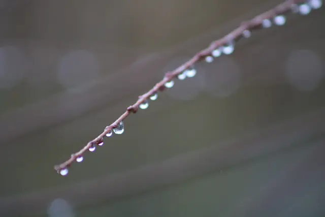 Tropfen-Perlenkette | Foto: Sarah Peters 