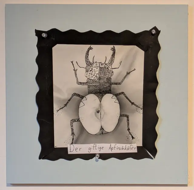 Kant-Gymnasium Weil am Rhein  | Foto: Eigene Aufnahme 