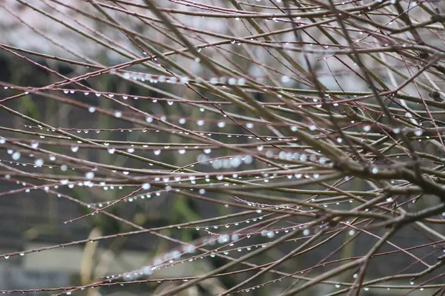 Tropfen-Fabrik | Foto: Sarah Peters 