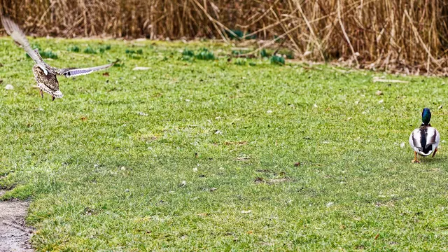 Nix wie weg, von dem will ich doch kein Kind!!! | Foto: WKY