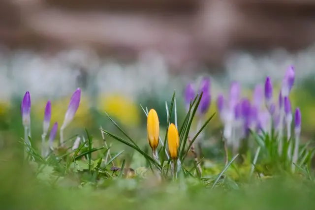 Foto: Stephanie Rüdele