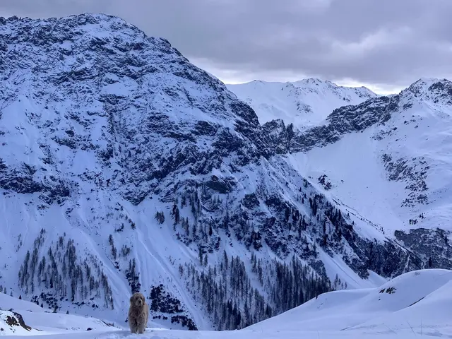 Foto: DAV Künzelsau