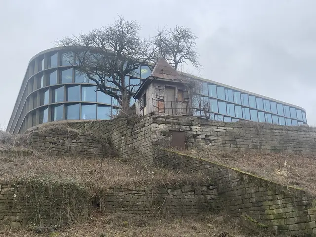 Foto: Alexander Förster 