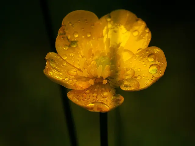 Foto: Petra Wagner