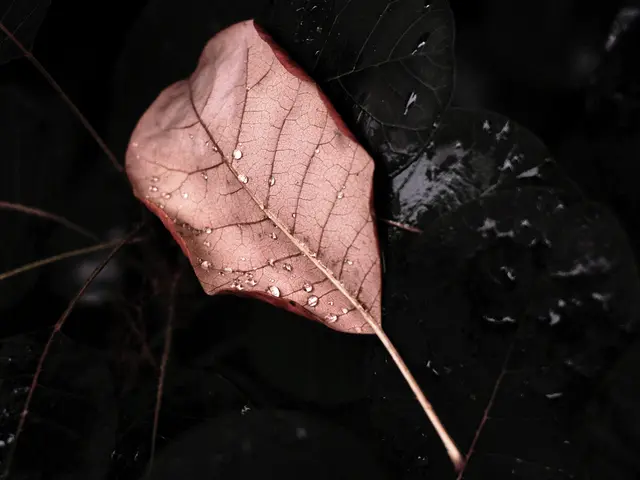 Foto: Petra Wagner