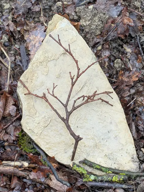 Foto: Eigene Aufnahme 