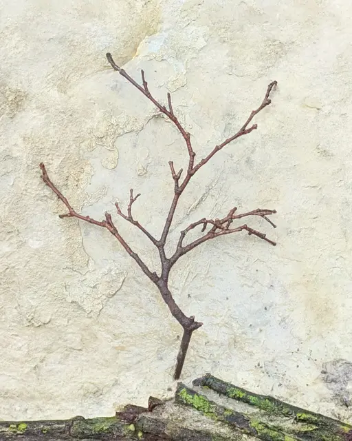 Foto: Eigene Aufnahme 