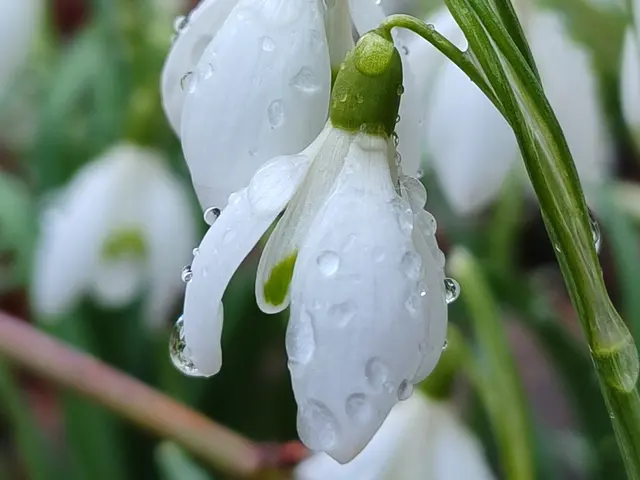 Foto: Elke Drießner