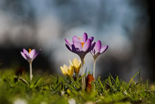 Foto: Stephanie Rüdele